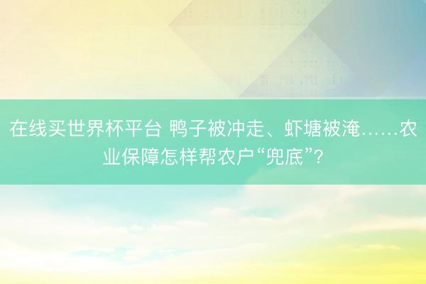在线买世界杯平台 鸭子被冲走、虾塘被淹……农业保障怎样帮农户“兜底”?