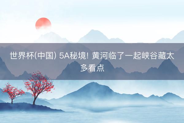 世界杯(中国) 5A秘境! 黄河临了一起峡谷藏太多看点
