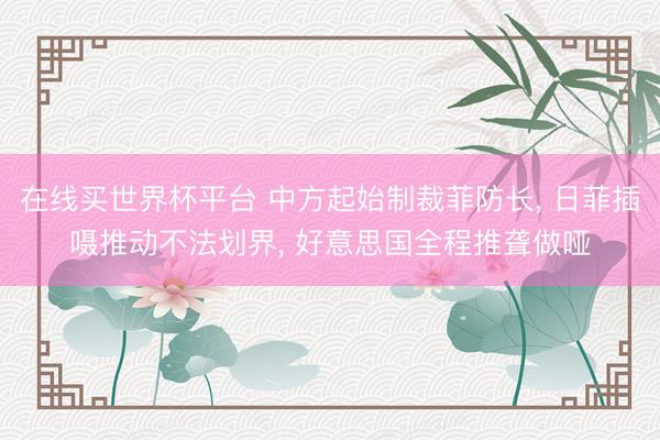 在线买世界杯平台 中方起始制裁菲防长， 日菲插嗫推动不法划界， 好意思国全程推聋做哑