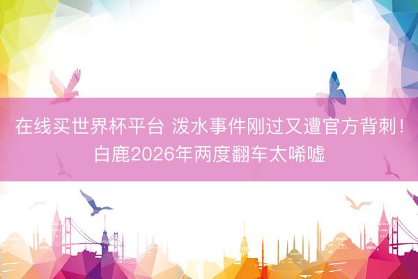 在线买世界杯平台 泼水事件刚过又遭官方背刺！白鹿2026年两度翻车太唏嘘