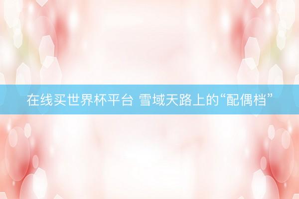 在线买世界杯平台 雪域天路上的“配偶档”