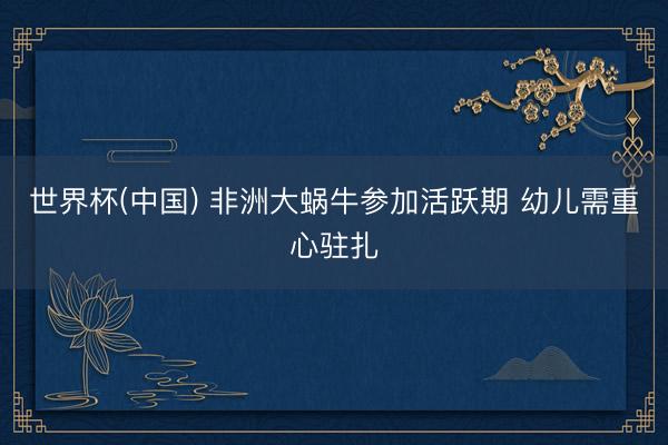 世界杯(中国) 非洲大蜗牛参加活跃期 幼儿需重心驻扎