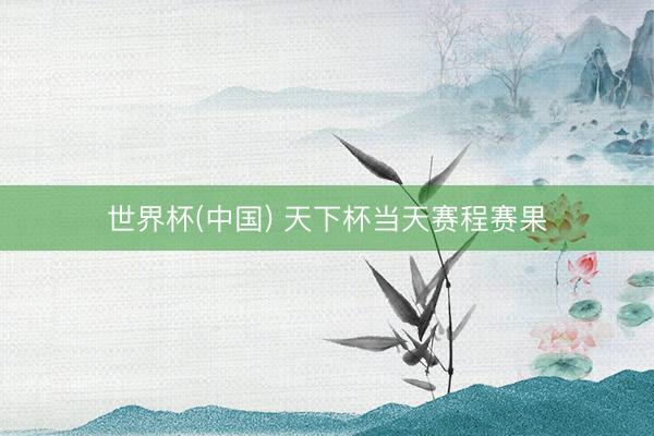 世界杯(中国) 天下杯当天赛程赛果