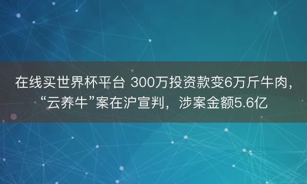 在线买世界杯平台 300万投资款变6万斤牛肉，“云养牛”案在沪宣判，涉案金额5.6亿