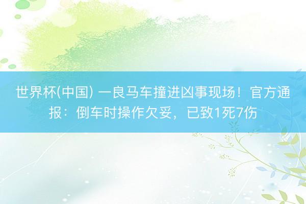 世界杯(中国) 一良马车撞进凶事现场！官方通报：倒车时操作欠妥，已致1死7伤
