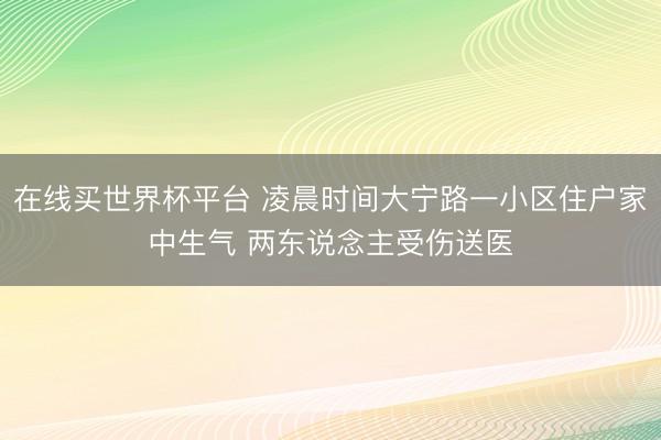 在线买世界杯平台 凌晨时间大宁路一小区住户家中生气 两东说念主受伤送医