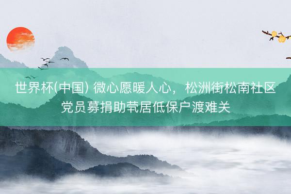 世界杯(中国) 微心愿暖人心，松洲街松南社区党员募捐助茕居低保户渡难关