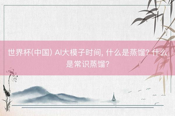 世界杯(中国) AI大模子时间， 什么是蒸馏? 什么是常识蒸馏?