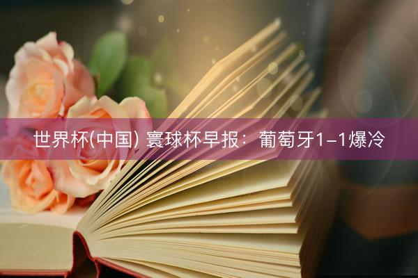 世界杯(中国) 寰球杯早报:葡萄牙1-1爆冷